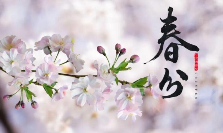 【山东桓艺数控】春分 | 生活明朗，万物可爱